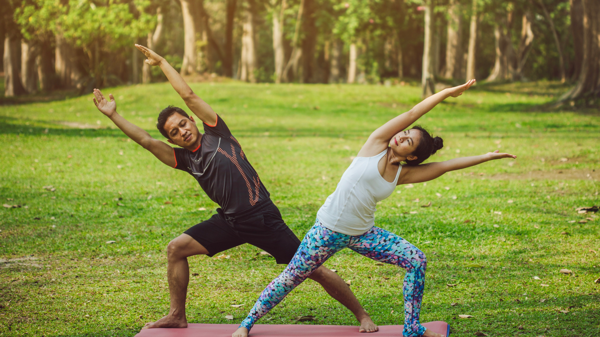 Fitness & Wellness 2025